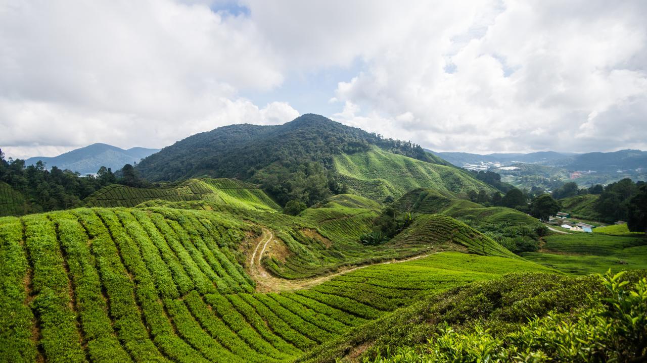 Hostel Orchid Haven Cameron Highlands Exteriér fotografie