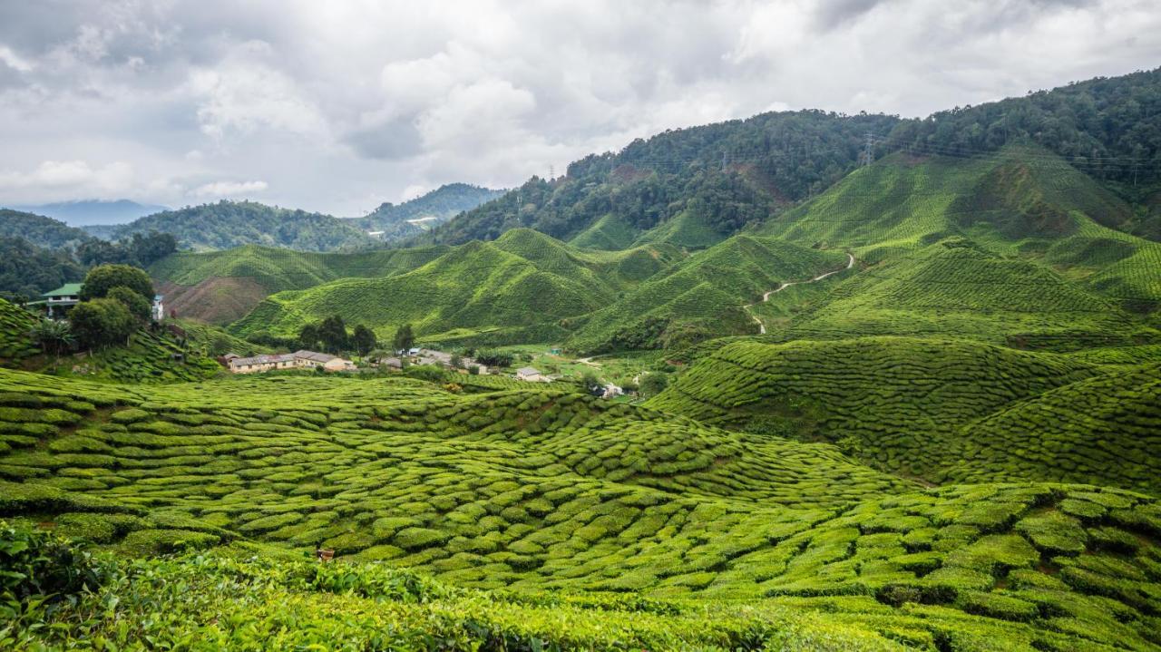 Hostel Orchid Haven Cameron Highlands Exteriér fotografie