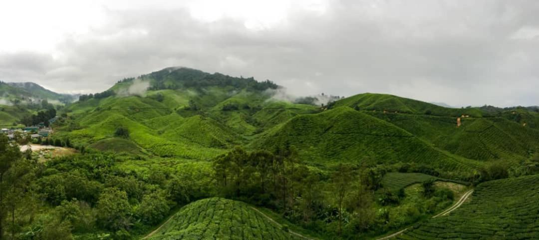 Hostel Orchid Haven Cameron Highlands Exteriér fotografie